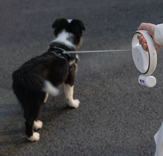 Pet Leash™ | De Slimme Oplossingen voor Elke Hondenliefhebber!