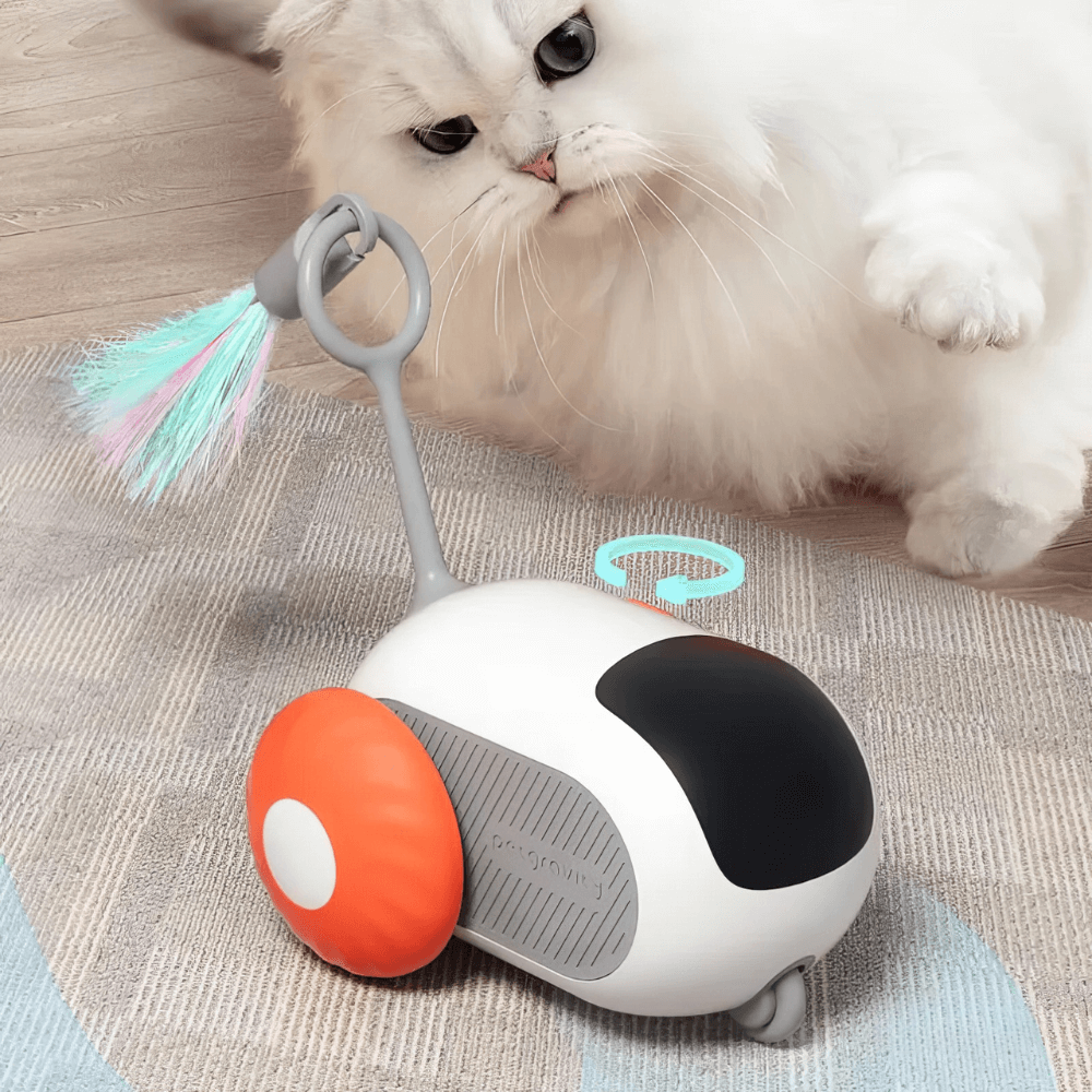 TurboCat™ | Breng de opwinding van de jacht naar je huiskamer.
