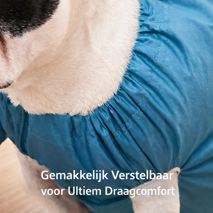 DryBuddy™ | Gemakkelijk Drogen in Enkele Minuten.