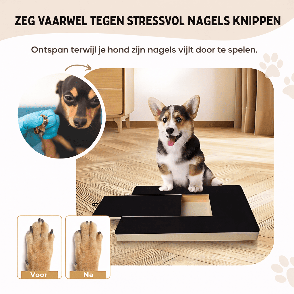 PlayTrim™ | De Slimme Oplossing voor Lange Hondennagels.