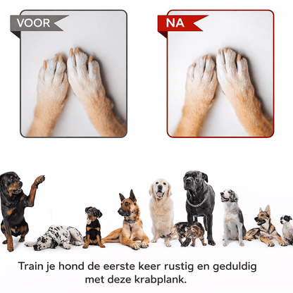 PlayTrim™ | De Slimme Oplossing voor Lange Hondennagels.