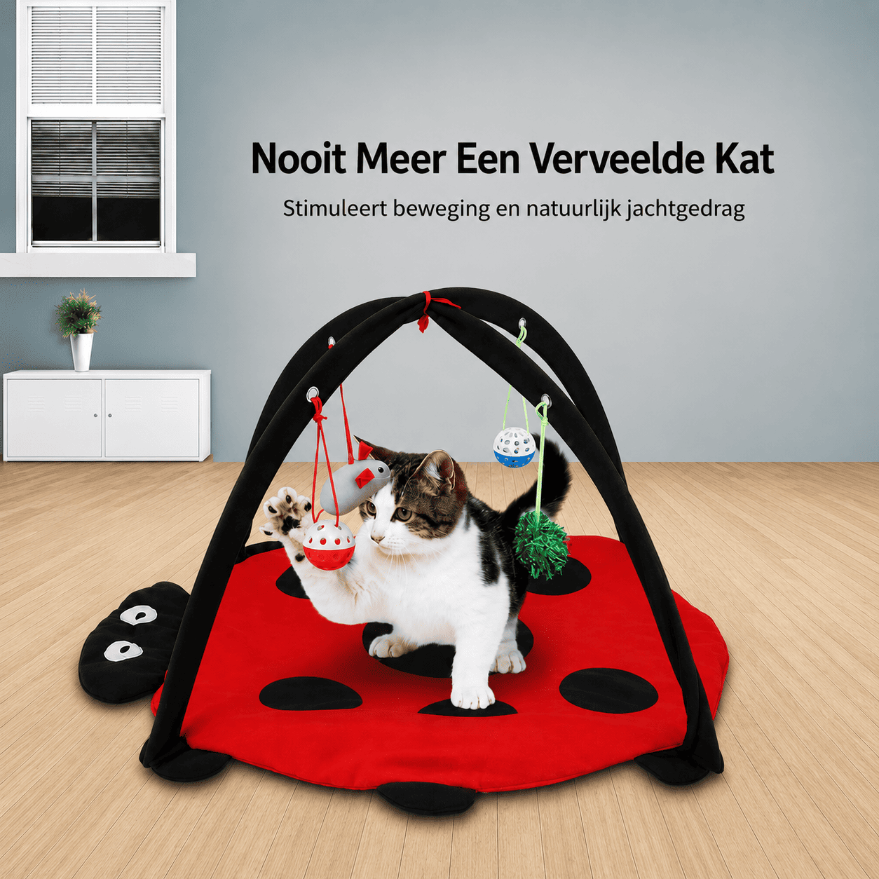 MeowBug™ | Spelen, Springen & Ontspannen In Eén.