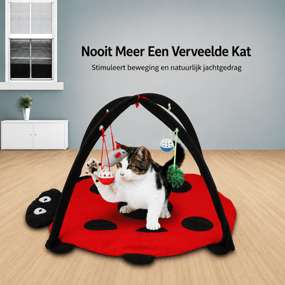 MeowBug™ | Spelen, Springen & Ontspannen In Eén.