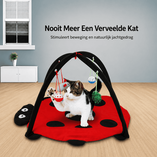 MeowBug™ | Spelen, Springen & Ontspannen In Eén.