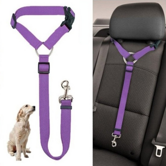 DogBelt™ | Altijd veilig onderweg met je viervoeter!