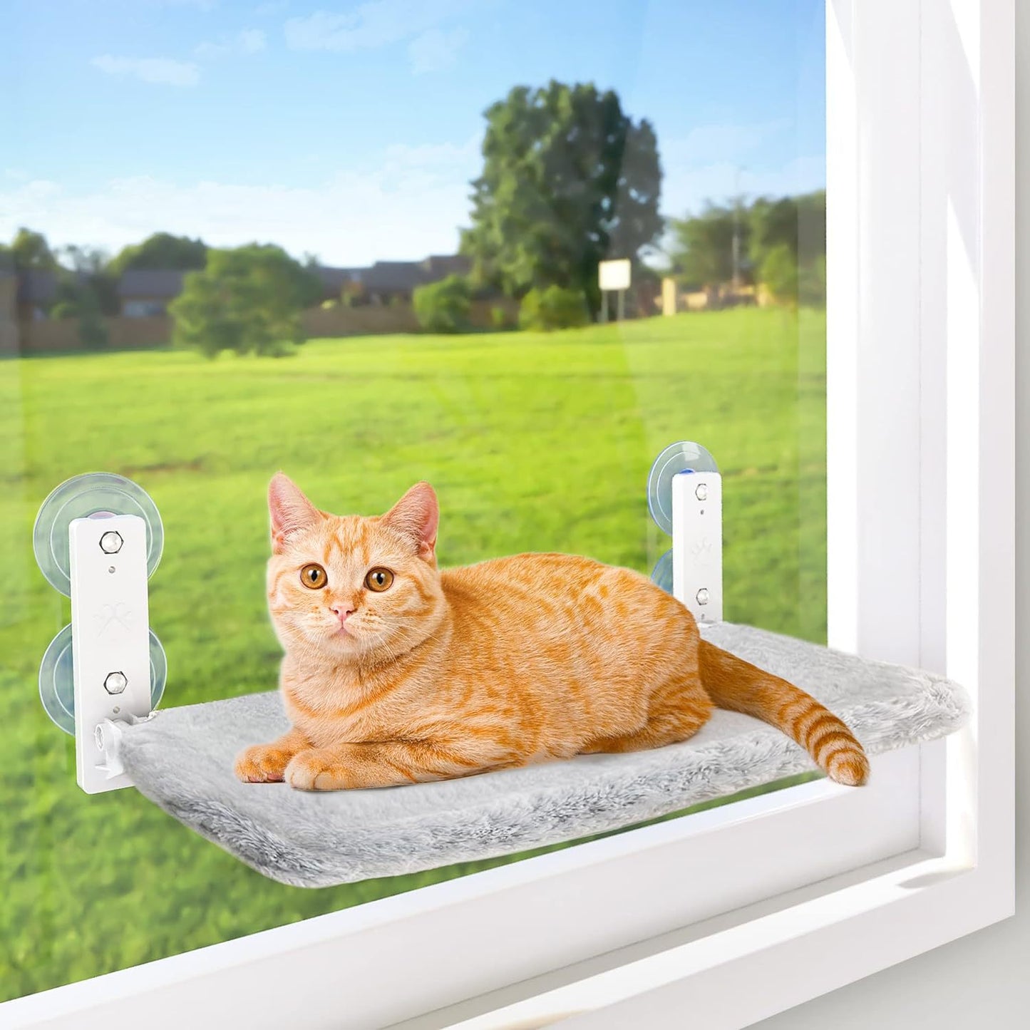 Catbed™ | De luxe die jouw trouwe huisdier echt verdient.