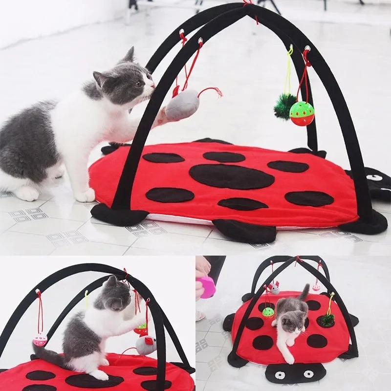 MeowBug™ | Spelen, Springen & Ontspannen In Eén.