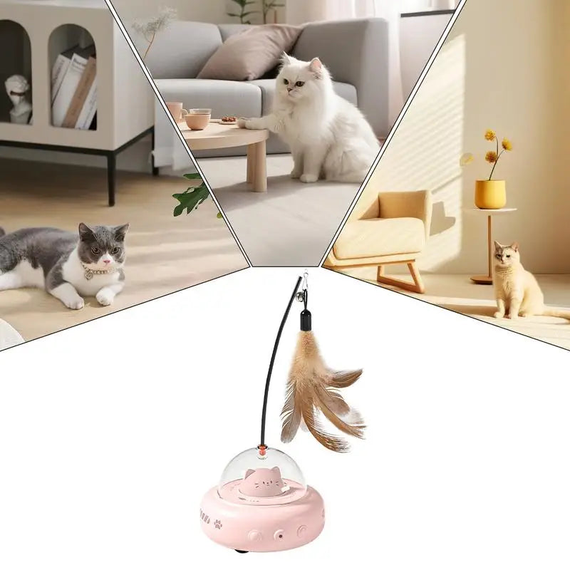 Catkomeet™ | Het Huisdierenspeeltje voor Achtervolging en Jacht!