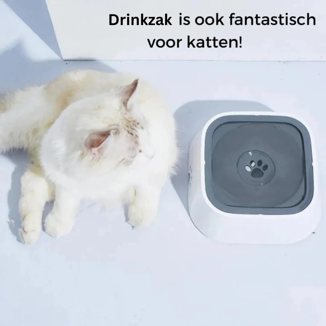 Kat naast een drinkbak met grijze bovenplaat