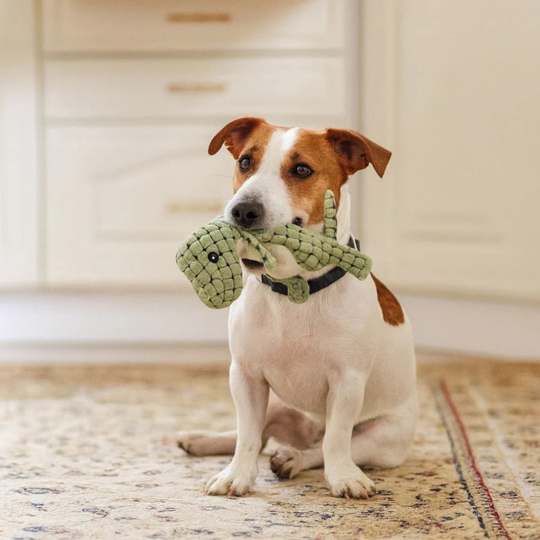 Hond met een groene pluche dinosaurus