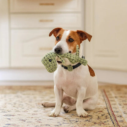 Hond met een groene pluche dinosaurus