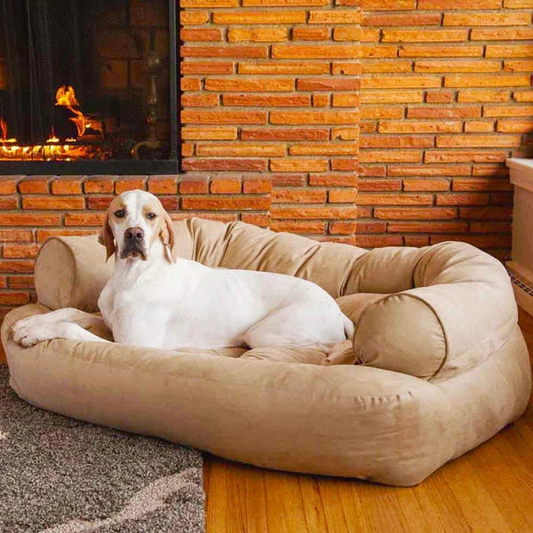 Hond op een beige hondenbank bij een open haard