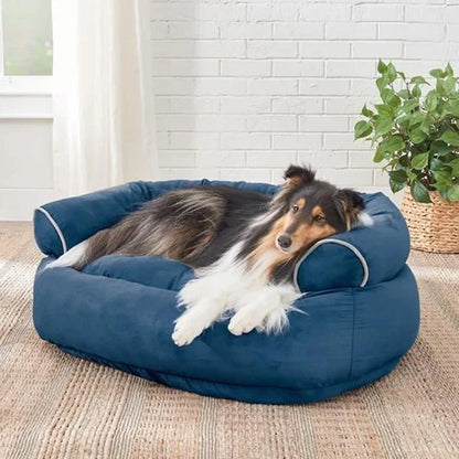 Hond op een donkerblauwe hondenbank in een woonkamer