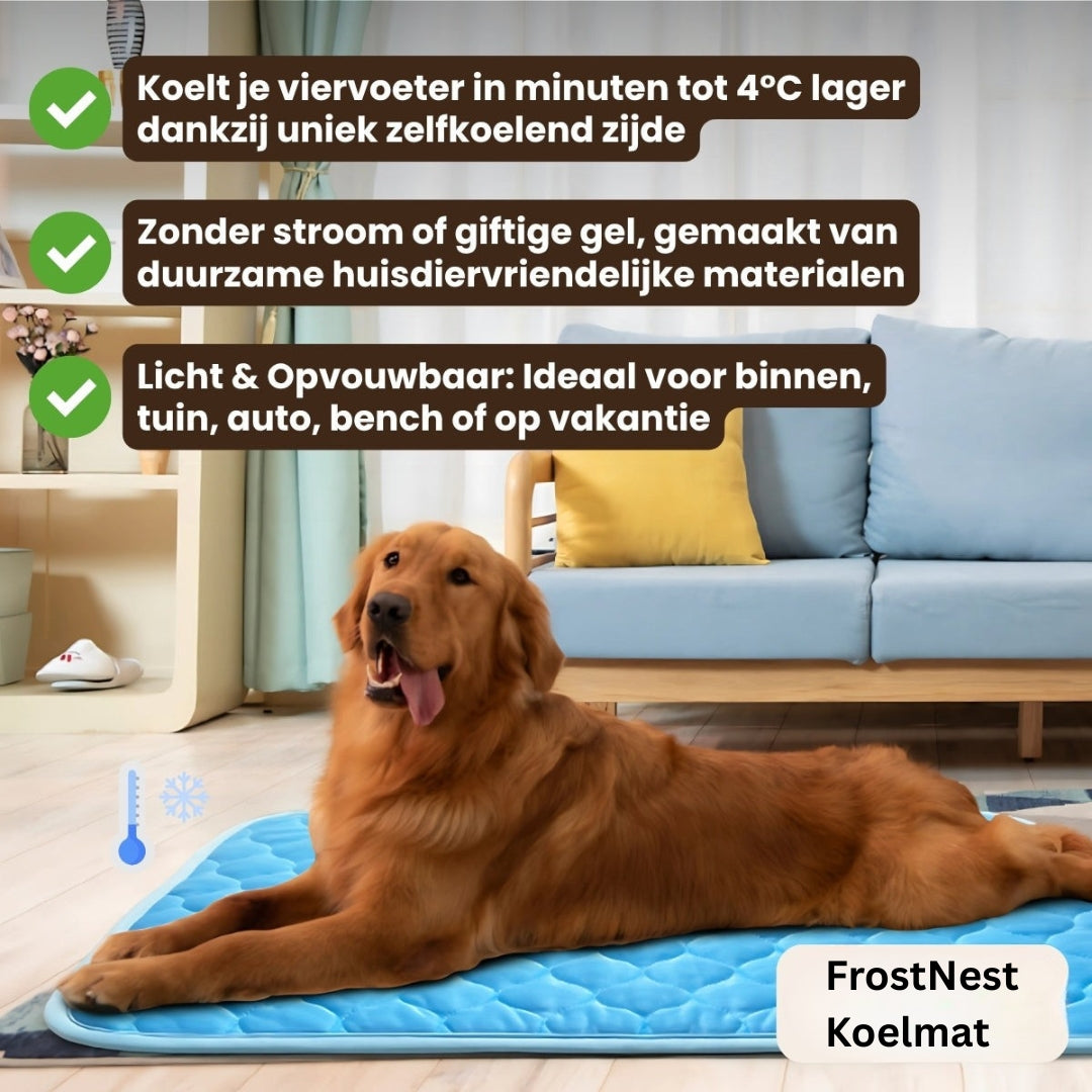 Hond op een blauwe mat met werkingstekst in beeld