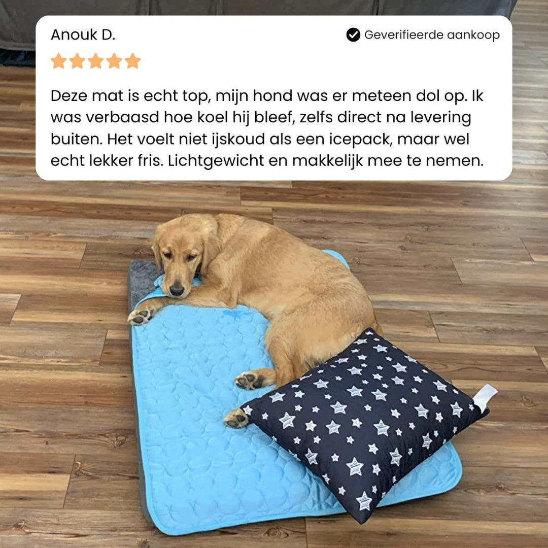 Kat op een blauwe mat met een afgebeelde beoordeling