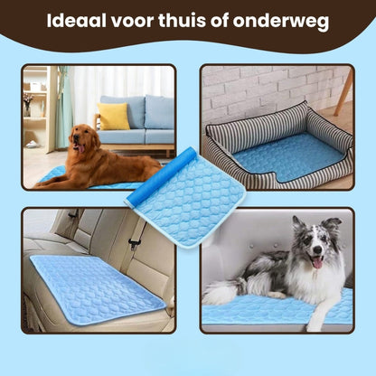 Blauwe mat afgebeeld in huis, een bench en een auto