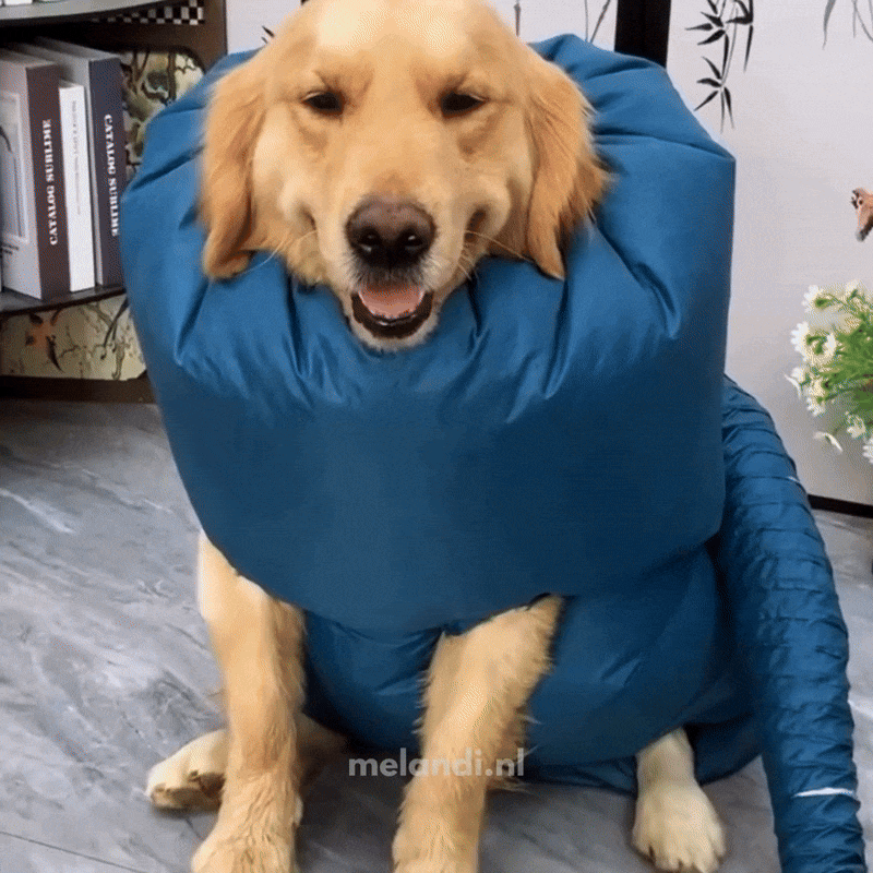 DryBuddy™ | Gemakkelijk Drogen in Enkele Minuten.