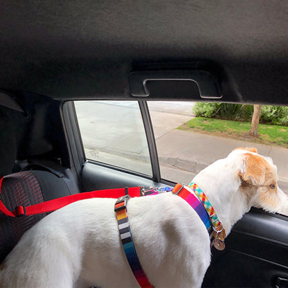 DogBelt™ | Altijd veilig onderweg met je viervoeter!