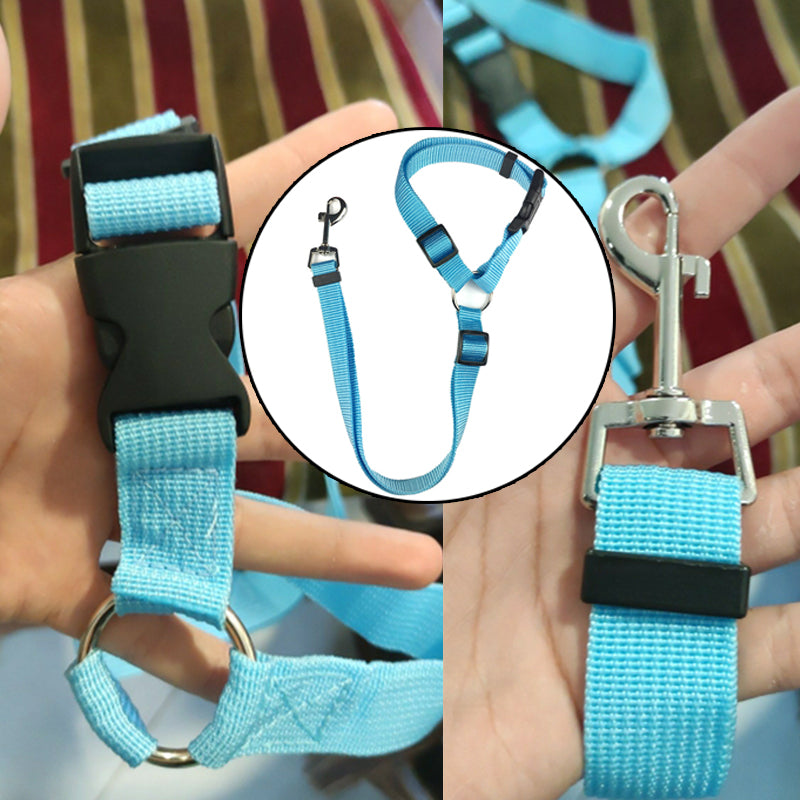 DogBelt™ | Altijd veilig onderweg met je viervoeter!