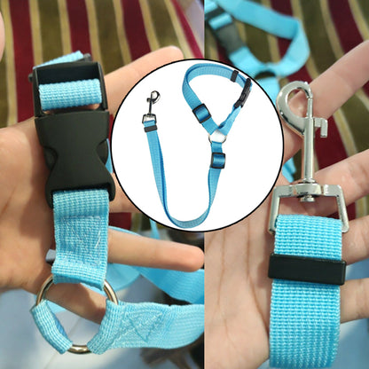 DogBelt™ | Altijd veilig onderweg met je viervoeter!