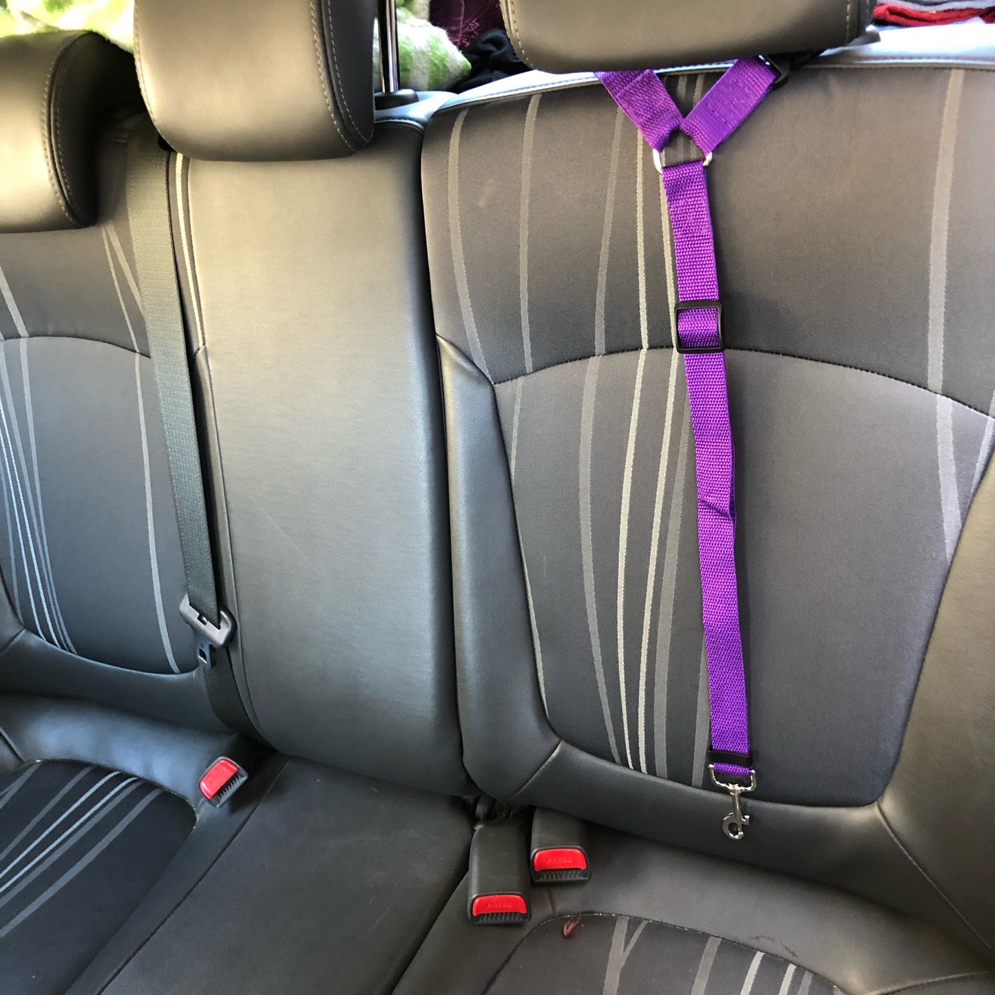 DogBelt™ | Altijd veilig onderweg met je viervoeter!
