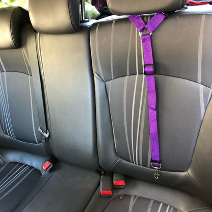 DogBelt™ | Altijd veilig onderweg met je viervoeter!