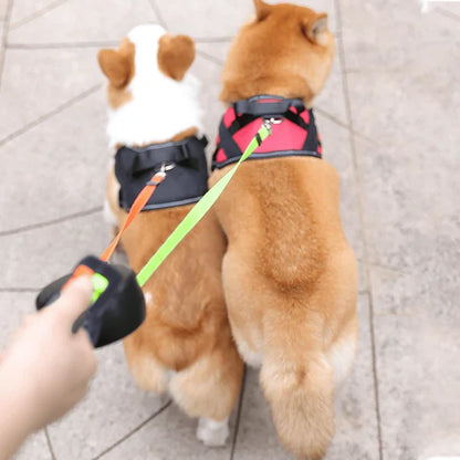 Twee honden aan een dubbele hondenriem tijdens een wandeling