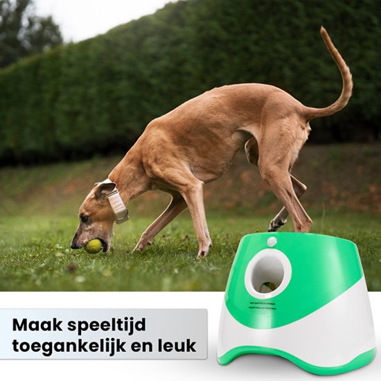 DogLaunch™ | Waar Plezier en Ontwikkeling Samenkomen.