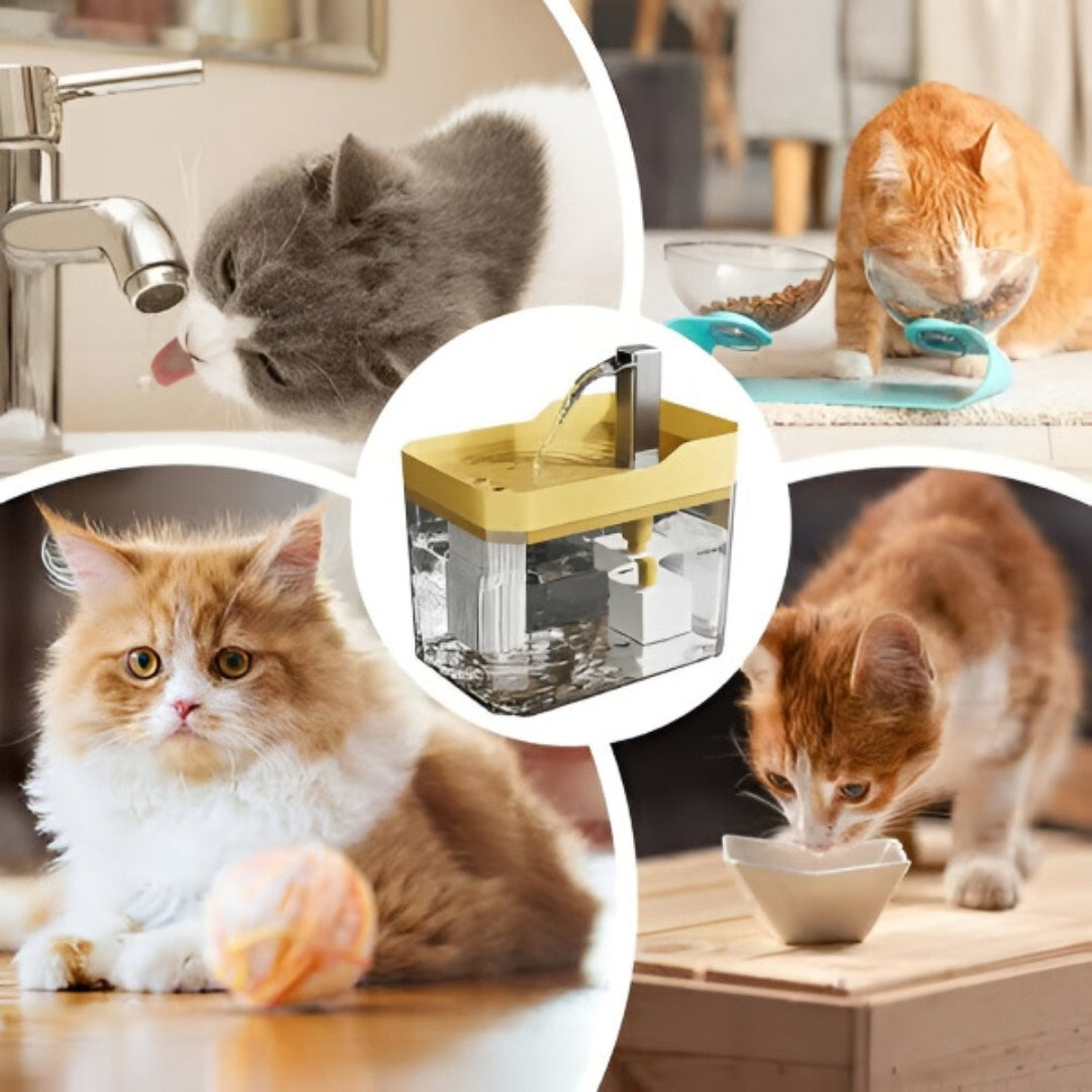 Collage van katten bij een gele drinkfontein