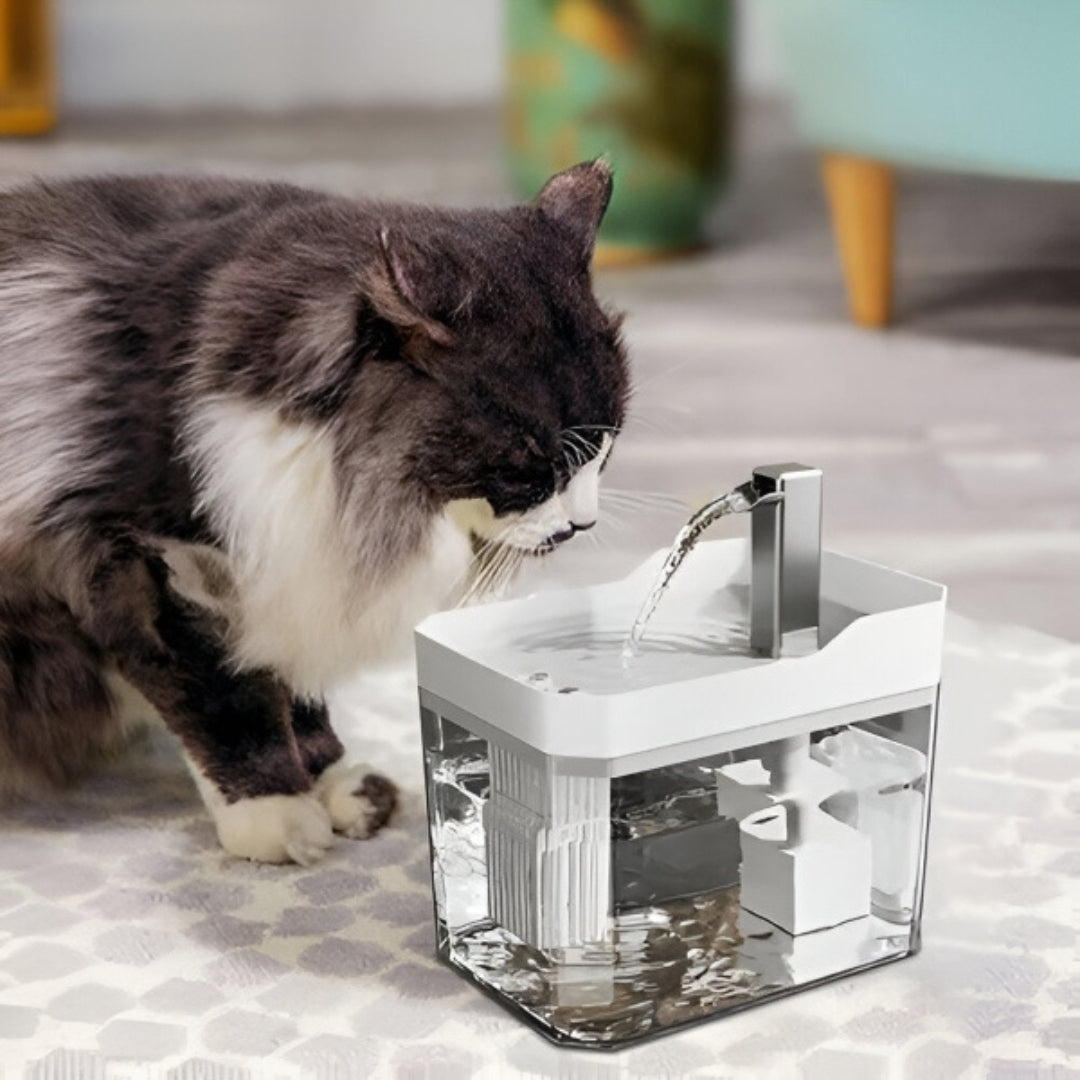 Kat drinkt uit een witte uitvoering van de fontein