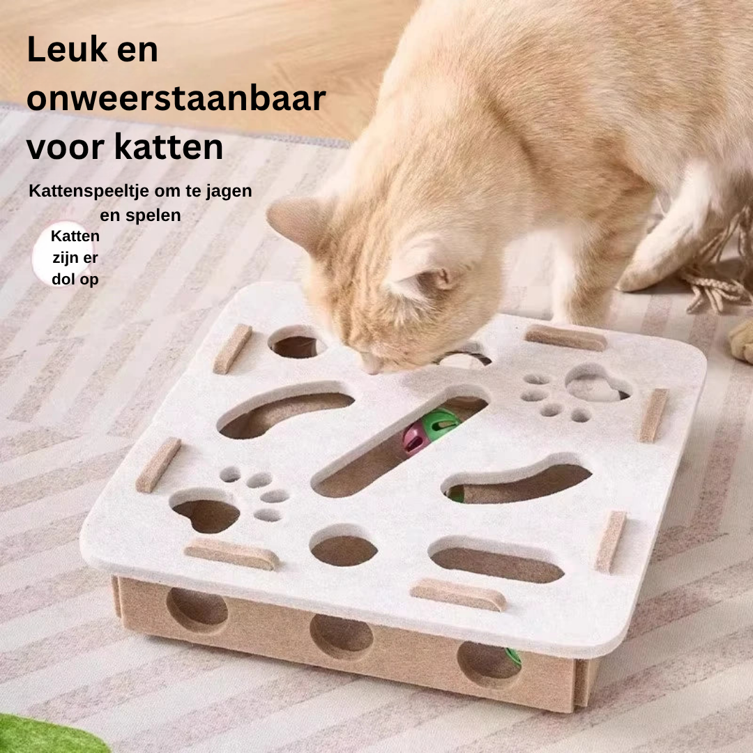 Kat bij een witte vierkante speelbox