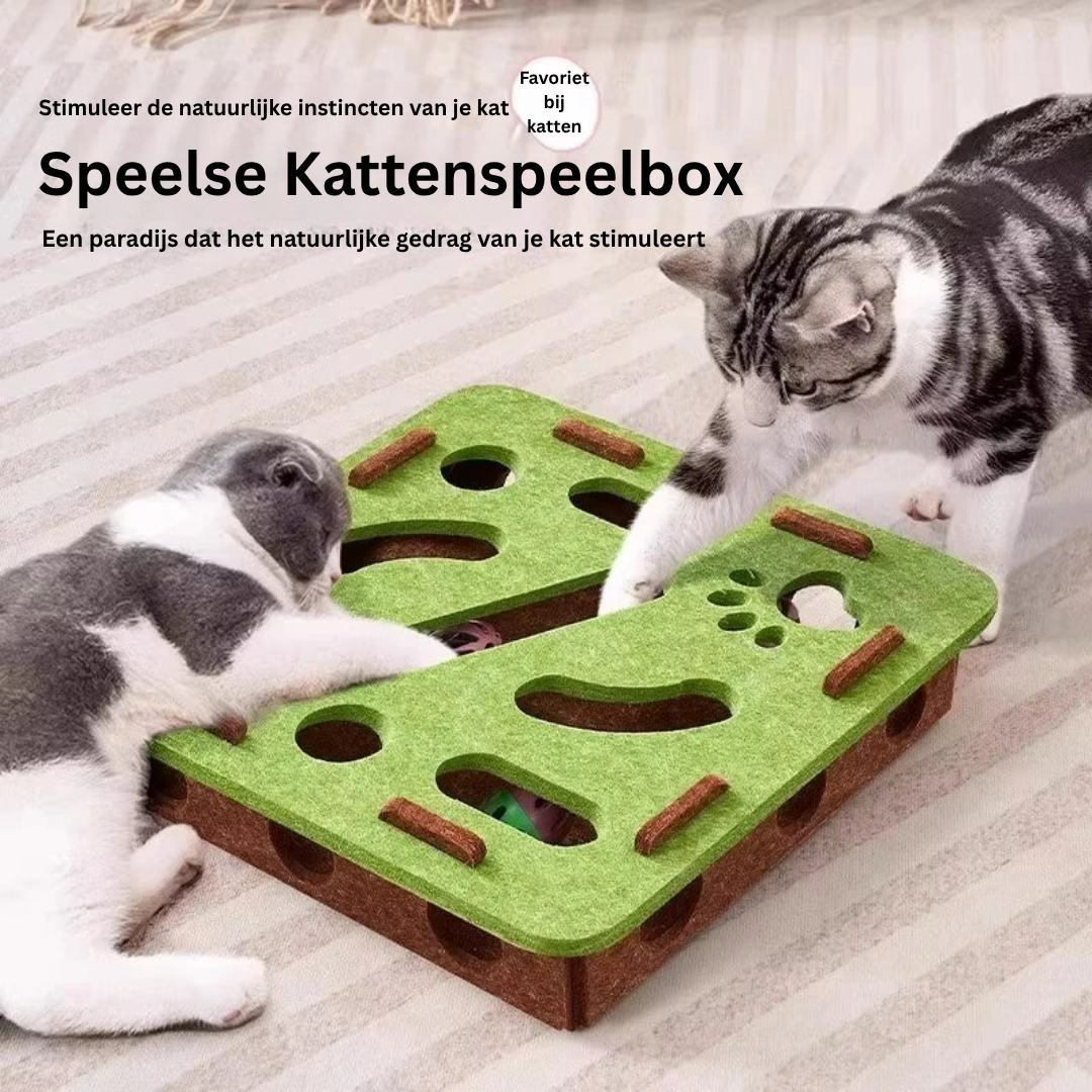 Twee katten bij een groene vierkante speelbox