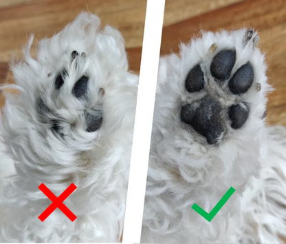 PetTrim™ | Veilig en Comfortabel Thuis Trimmen!